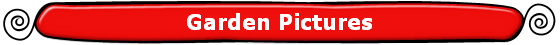 Garden Pictures