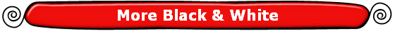 More Black & White