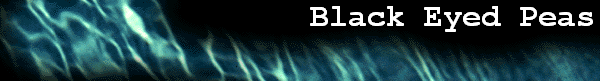 Black Eyed Peas