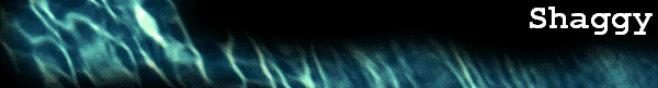 Shaggy